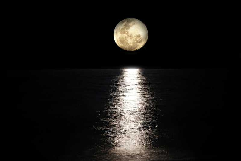 Moon Phase Decor